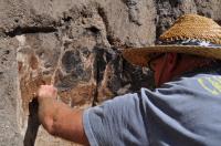 Archaeologists Uncover 13,000-year-old Bones of Ancient, Extinct Species of Bison at Old Vero Man Site