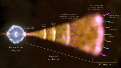 A Dying Massive Star Forms a Black Hole