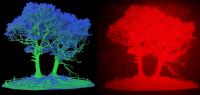 LiDAR tree