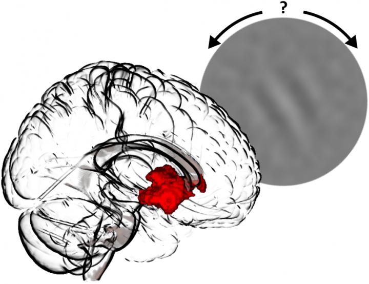 Performance of a Visual Learning Task