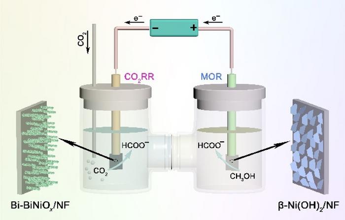 Schematic illustration of the two-electrode electrolyzer for coupled CO2RR||MOR