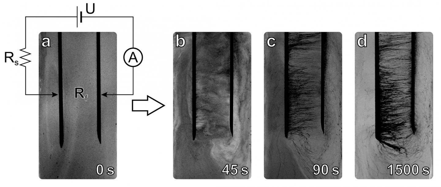 Nanotube Chains