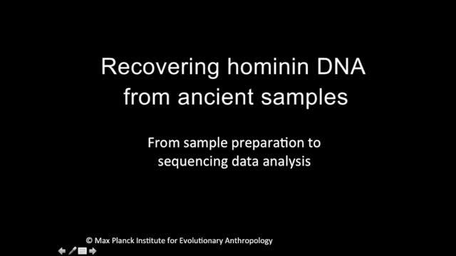 Ancient DNA Analysis Adds Chapter to the Story of Neandertal Migrations (6 of 6)