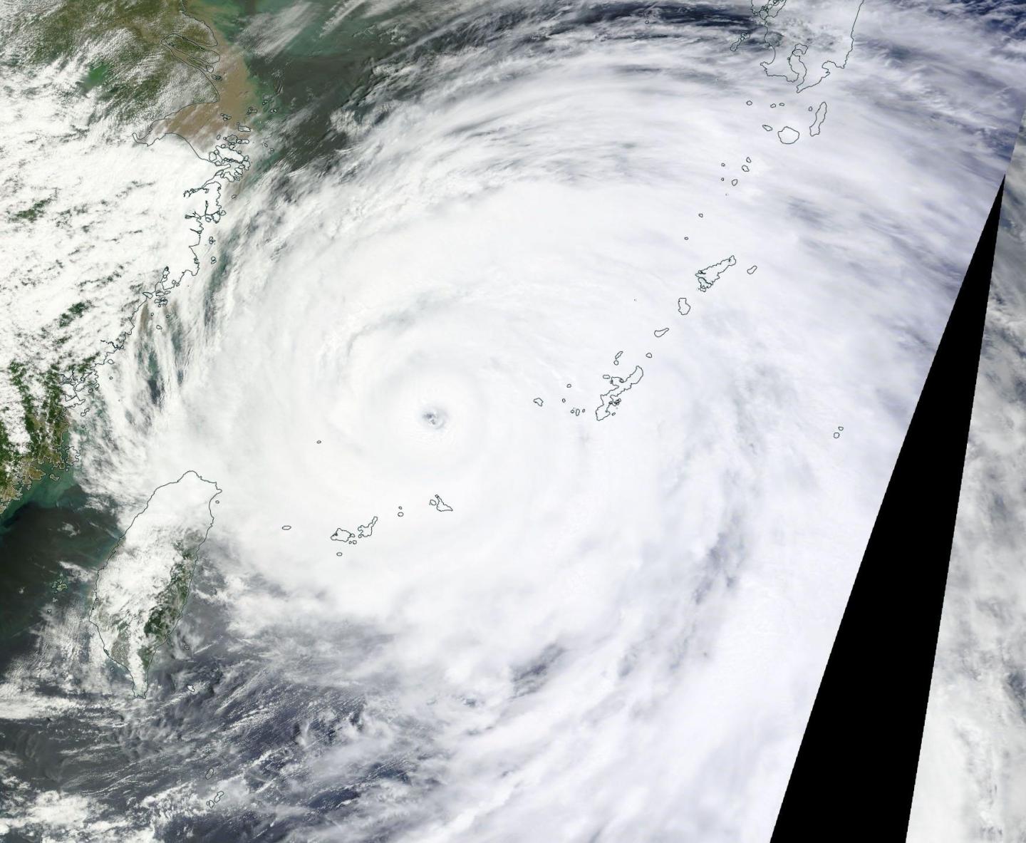 Terra Image of Chan-Hom