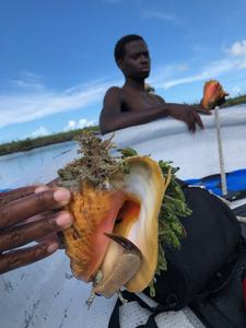 Bahamian Fishermen