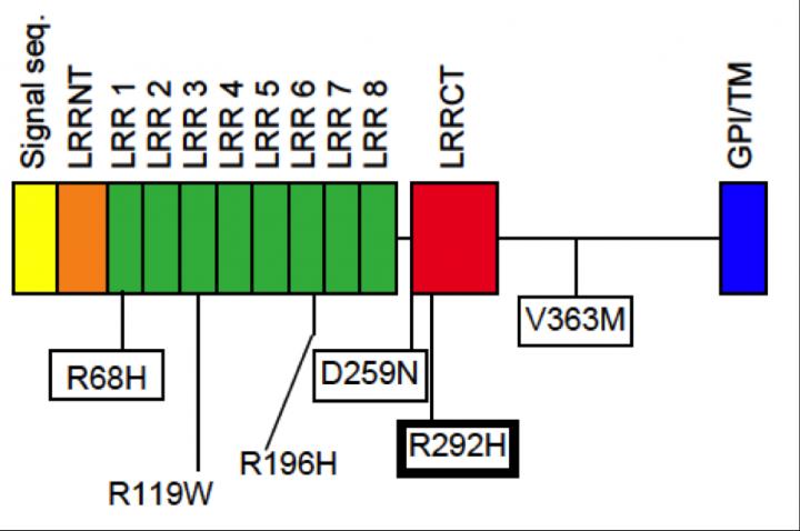 Fig. 1
