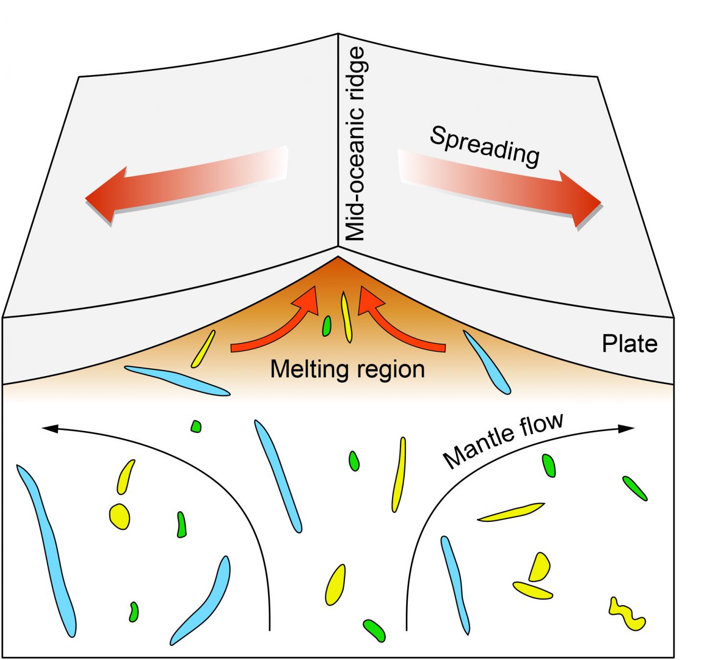 Mantle Heterogeneity