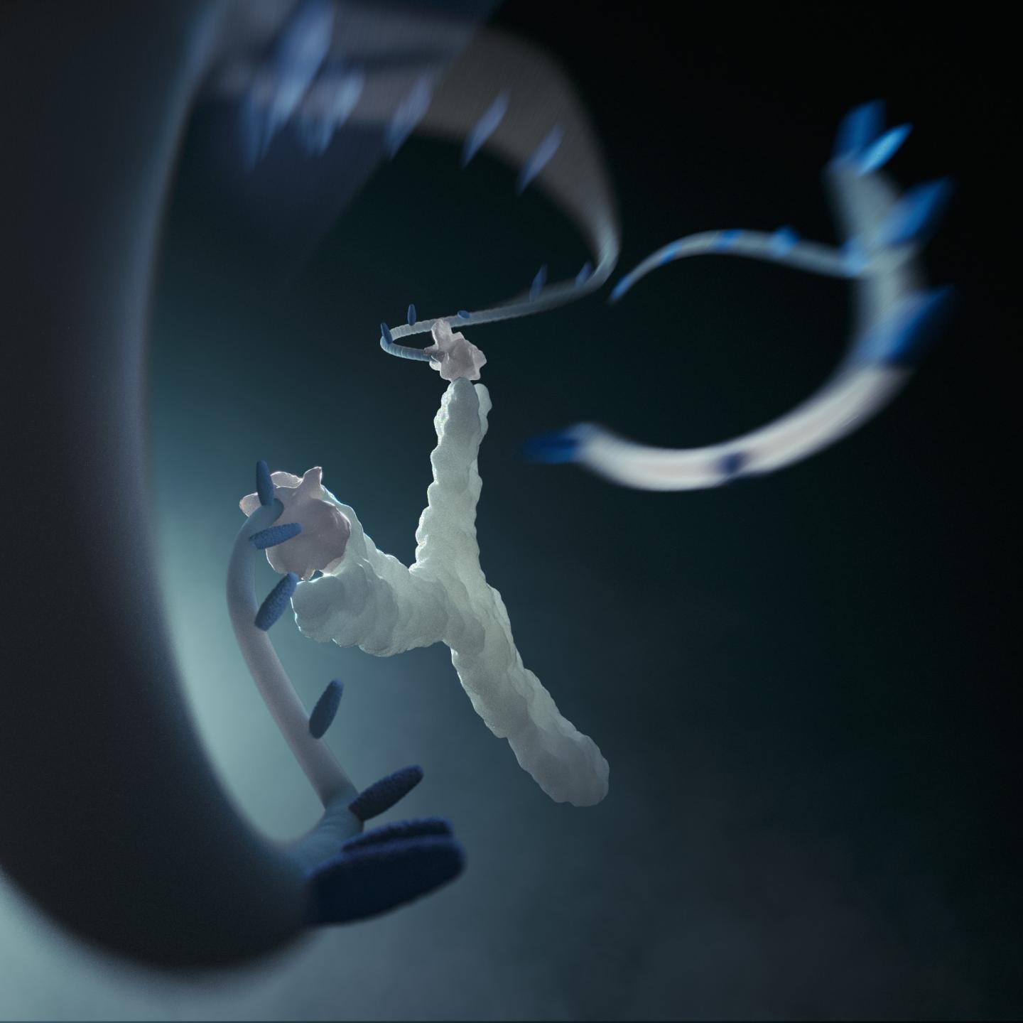 Molecular Slingshot