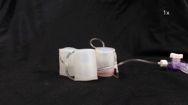 High Strain Deformation Test