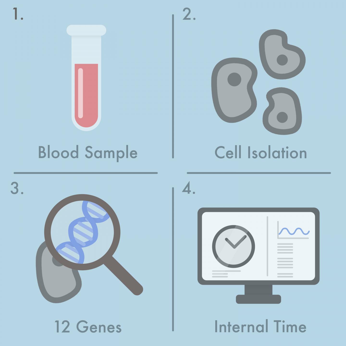 Charité Blood Test Enables Reading Out of a Person's Internal Clock