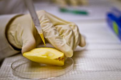 Studying Silver Nanoparticles