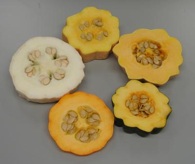 Powerful Pumpkins, Super Squash