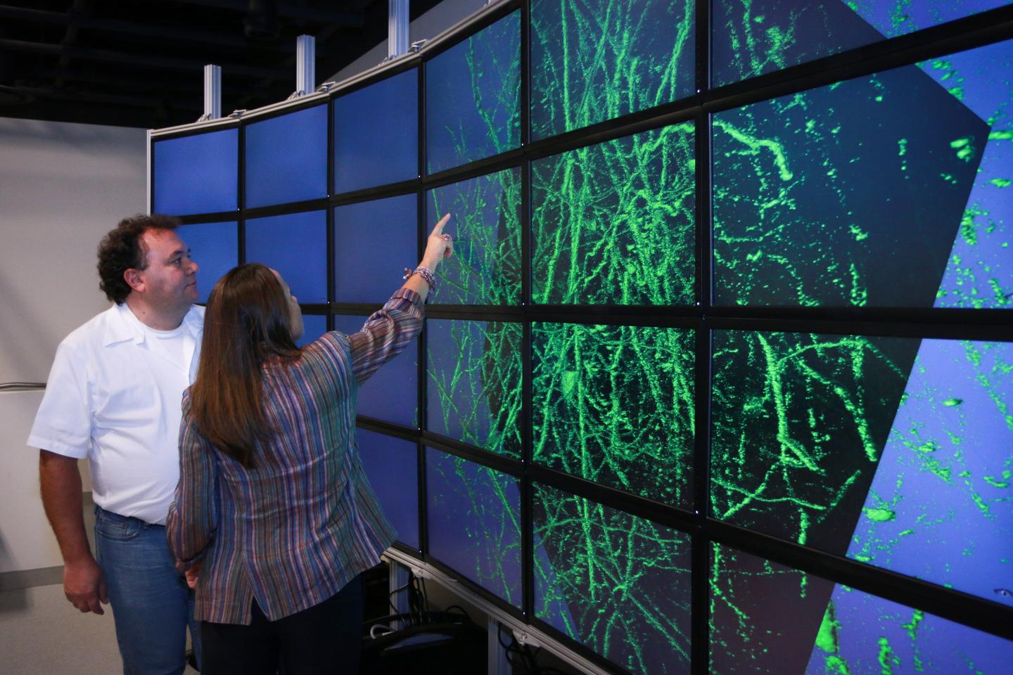 Alessandra Angelucci and Valerio Pascucci, University of Utah