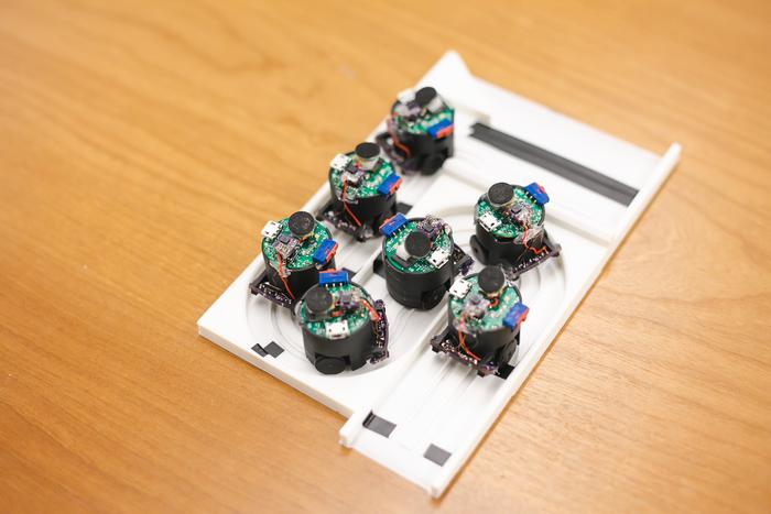 Swarms_002