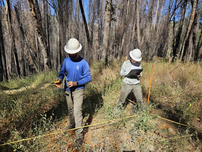Adam Wood and Avery Sigarroa collect data in the Eldorado National Forest.