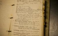 Notes from 1955 Scripps Institution of Oceanography Ichthyology Field Expedition