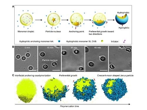New Avenue for the Large-scale Synthesis