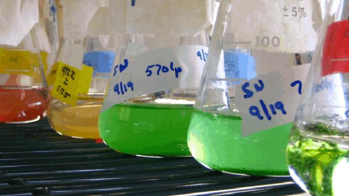 Beakers in Lab