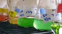 Beakers in Lab
