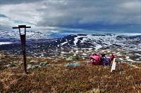 Soil Moisture Data From the Arctic Area In Kilpisjärvi, Lapland, Finland