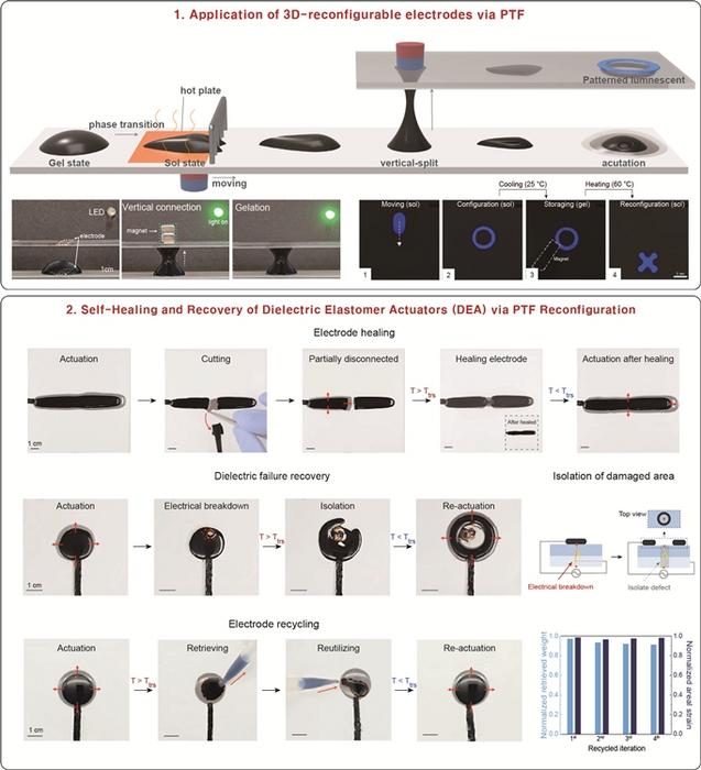 Figure 2. Functional expansion of reconfigurable electrodes and artificial muscle devices using phase-transitional ferrofluid