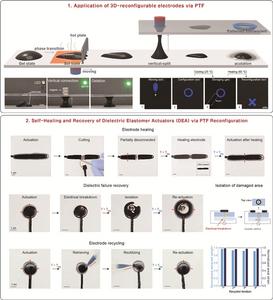 Figure 2. Functional expansion of reconfigurable electrodes and artificial muscle devices using phase-transitional ferrofluid