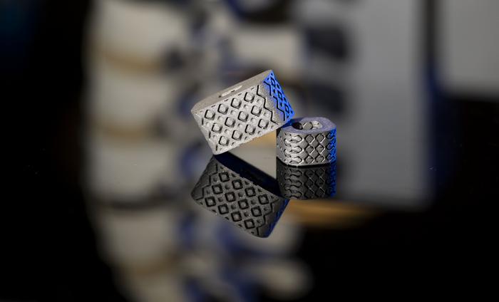 TA_Spinal_Implant
