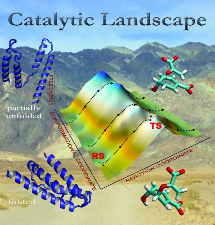 Walking Uphill as an Enzyme Changes Conformation