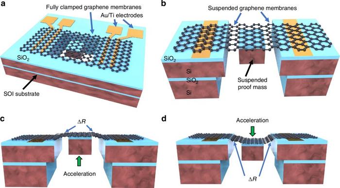 Schematic diagrams of graphene NEMS accelerometers.
