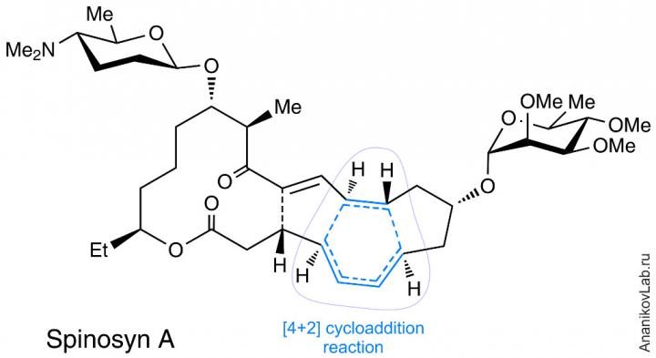 Assembling the Molecule of Spinosyn A