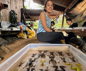 New glassfrog species named for first Ecuadorian woman to win a gold medal
