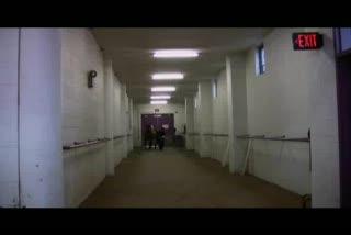 MU Researchers Use Motion Sensors to Determine Equine Lameness