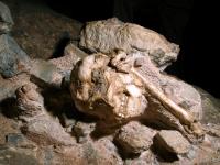 Little Foot Exposed