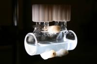 Discovery of Sunlight-Driven Organic Chemistry on Water Surfaces (3 of 3)