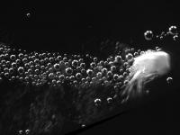 Self-Propelled Particles Deliver Coagulants