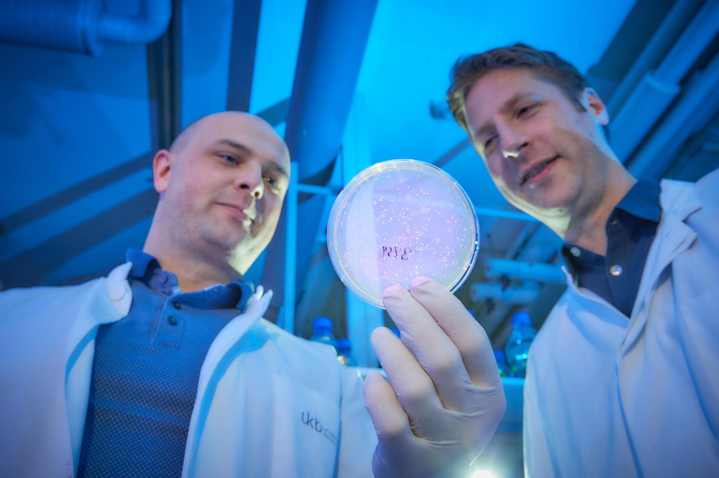 Researchers