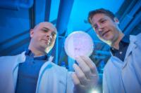Researchers