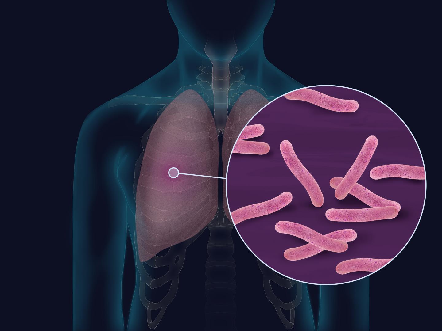 Bacterium Mycobacterium