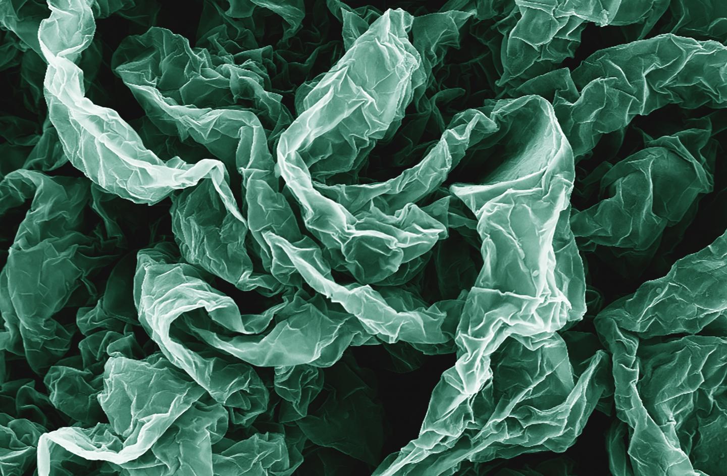Wrinkled Graphene