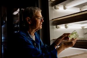 Researcher and her lab plants