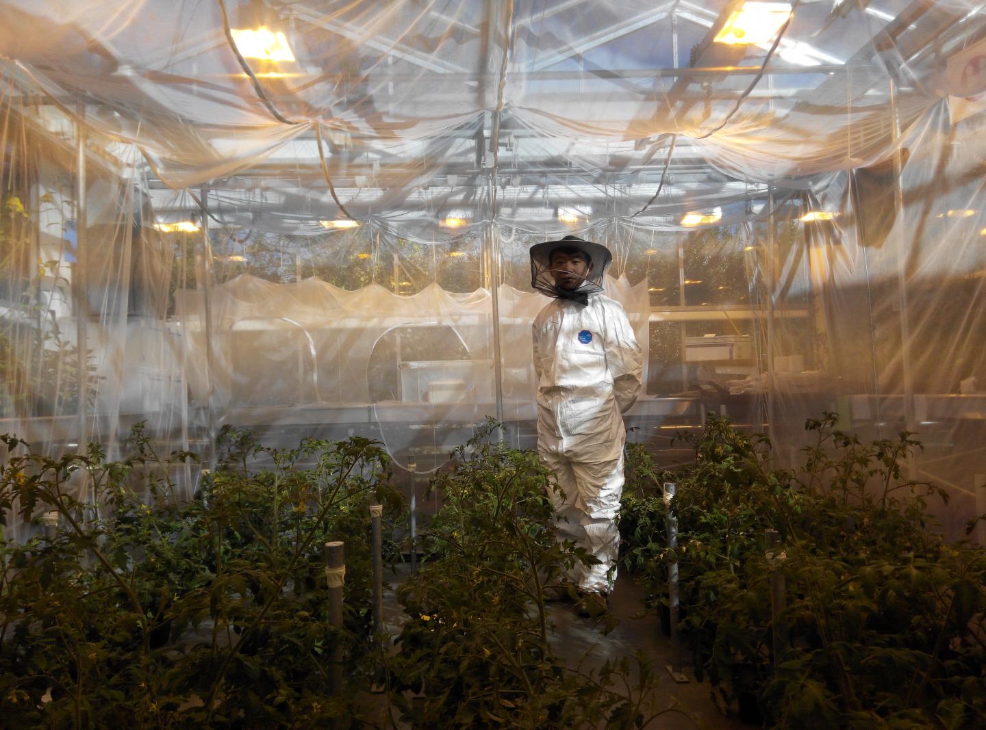 Researcher Inside 'Flight Arena'