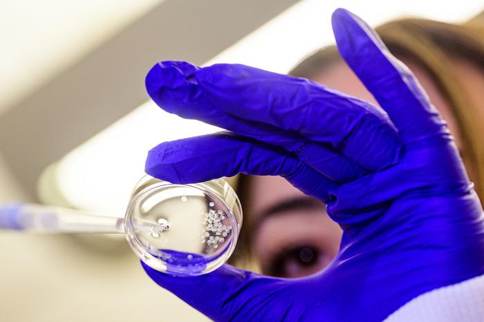 Veiseh Laboratory