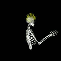 Skipping the Spinal Cord