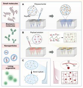 FIG. 4. SCHEMATIC ILLUSTRATING DIVERSE CARGO LOADING INTO MNS AND THE DIFFERENT METHODS