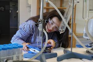 Researcher Sana Boubehziz working in the laboratory