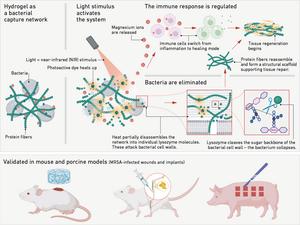 The function of the hydrogel
