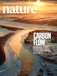 Research shows rivers release ancient carbon dioxide into the atmosphere, uncovering a greater role for plants and soil in the carbon cycle