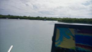 Spying on Stingrays - Multi-sensor Tag