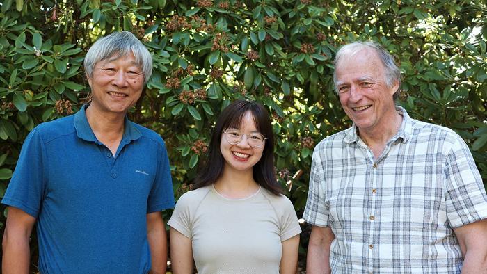 UVic researchers take us from projection to prediction