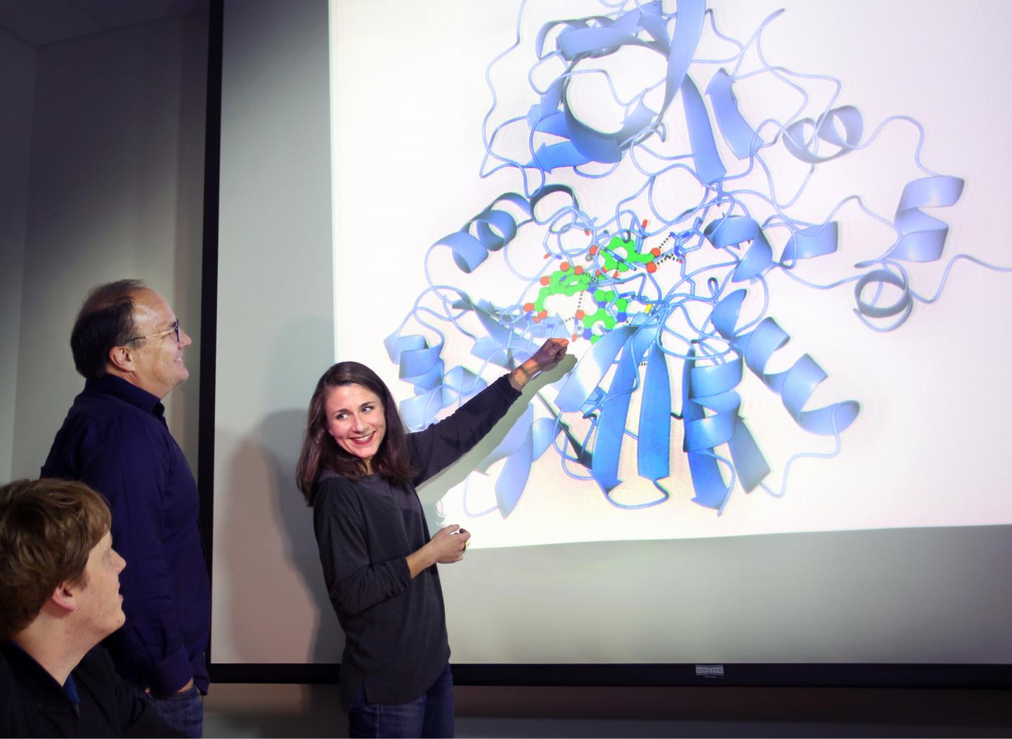 Sandia Research Team Examines LigM Model
